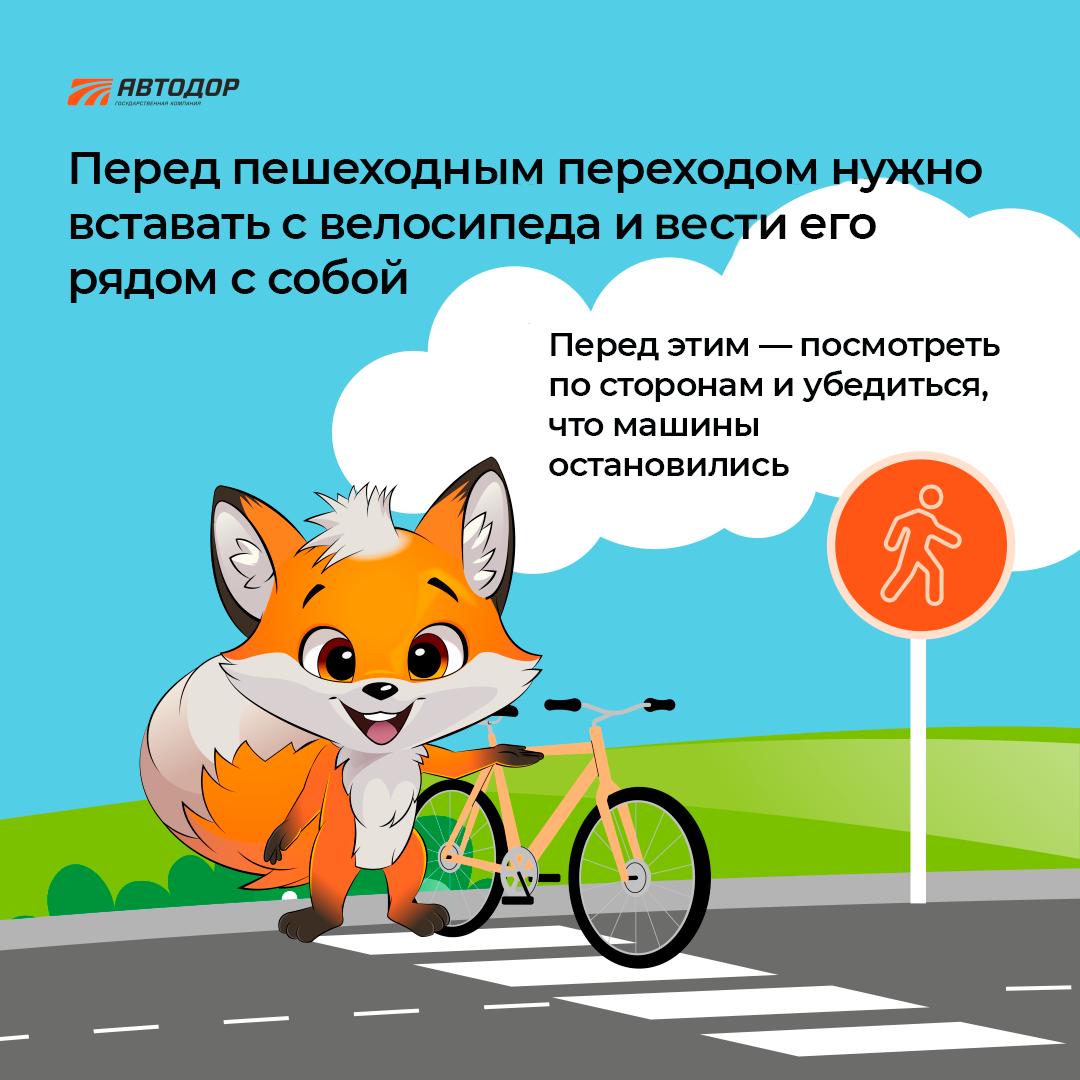 Внимание, велосипидисты!.